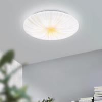 Nieves 1 LED-es mennyezeti lámpa sugárzóval Ø31cm