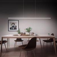 Quitani Margita LED-es függőlámpa, 148 cm hosszú, ezüst színű