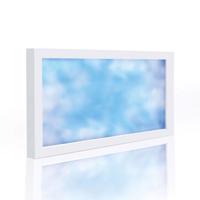 Sky Window LED panel 120 x 60cm